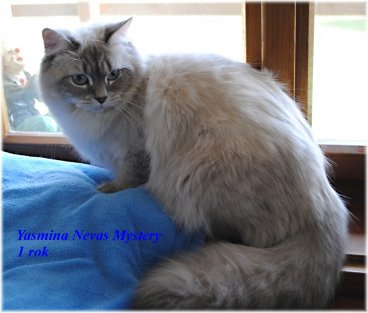 Yasmina4.0504.2011-1