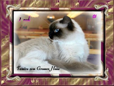Tamira1 5