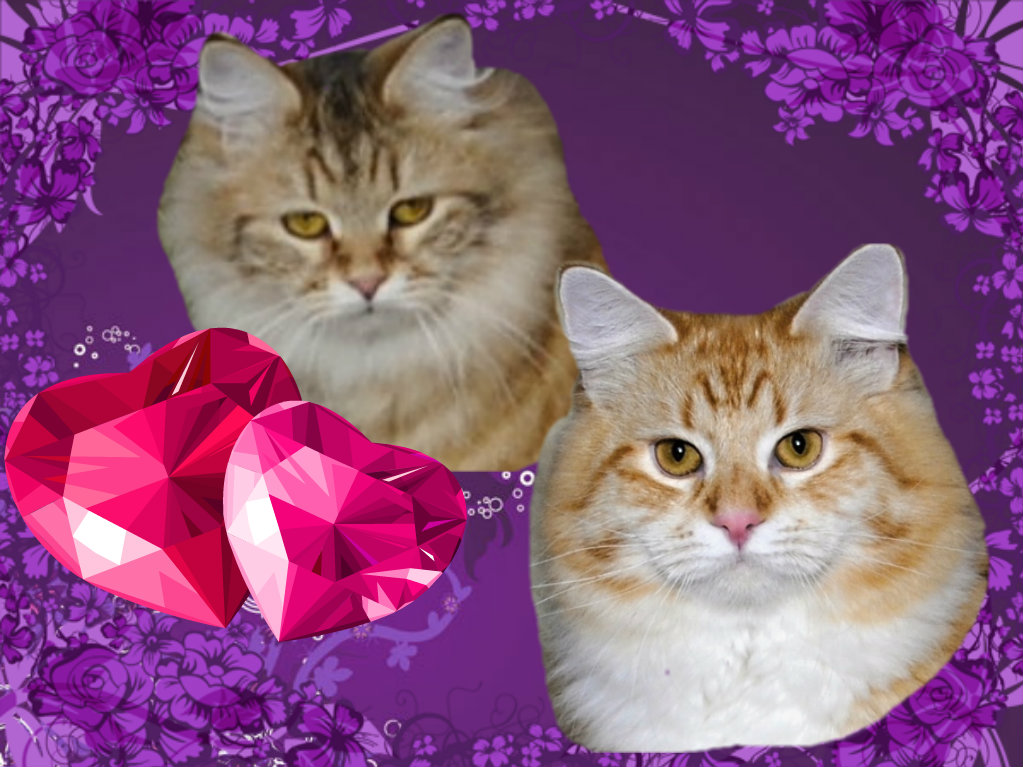 pizap.com14330753099981