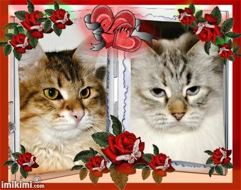 love picture frame - 2zxCQ-GtFB - normal