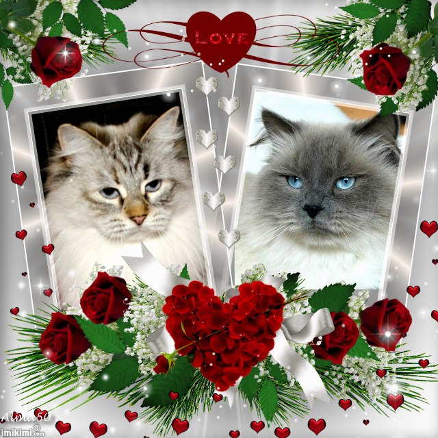 Me and my Sweetheart - 1NtGt-106 - normal